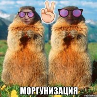  моргунизация