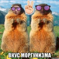  вкус моргунизма