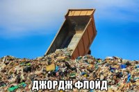  джордж флойд