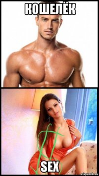 кошелёк sex