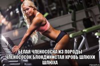  белая членососка из породы членососок блондинистая кровь шлюхи шлюха