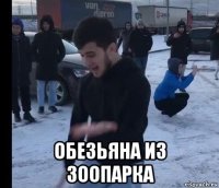  обезьяна из зоопарка