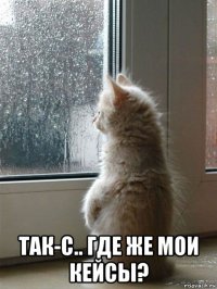  так-с.. где же мои кейсы?