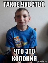 такое чувство что это колония
