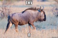гну п