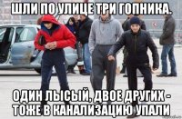 шли по улице три гопника. один лысый, двое других - тоже в канализацию упали