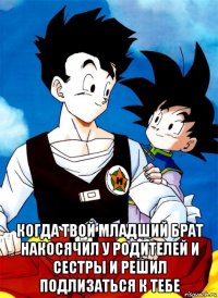  когда твой младший брат накосячил у родителей и сестры и решил подлизаться к тебе