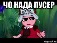 чо нада лусер 