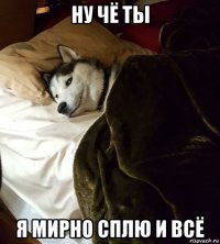 ну чё ты я мирно сплю и всё