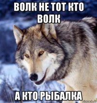 волк не тот кто волк а кто рыбалка