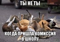 ты не ты когда пришла комиссия в школу