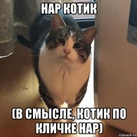 нар котик (в смысле, котик по кличке нар)