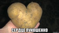  сердце лукошенко