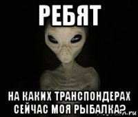 ребят на каких транспондерах сейчас моя рыбалка?