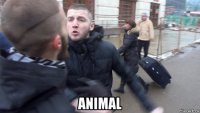  animal