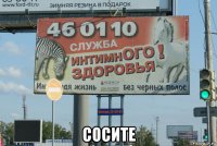  сосите