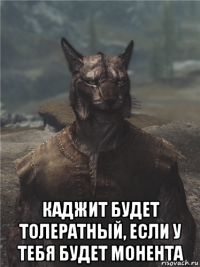  каджит будет толератный, если у тебя будет монента