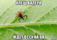 клещ валера ждет всех на ов