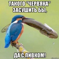 такого "червяка" засушить бы, да с пивком!