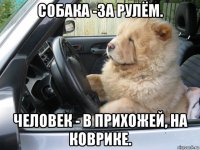собака -за рулём. человек - в прихожей, на коврике.