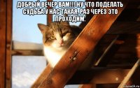 добрый вечер вам!!! ну что поделать судьба у нас такая, раз через это проходим. 