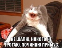  не шалю, никого не трогаю, починяю примус