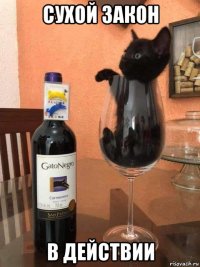 сухой закон в действии