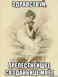 здравствуй, прелестнейшее созданьице моё !