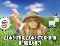  дефектив, дефектоскопа правда нет