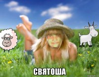  святоша