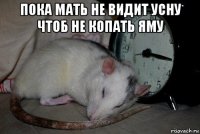 пока мать не видит усну чтоб не копать яму 