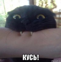  кусь!