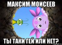 максим моисеев ты таки гей или нет?