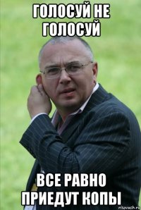 голосуй не голосуй все равно приедут копы