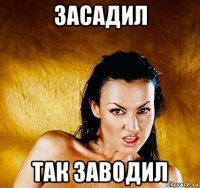 засадил так заводил