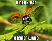 я леди-баг я супер шанс