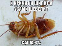 и кричит и шипит и усами шевелит саша 3%