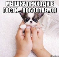 мышка приходи в гости... поболтаем))) 