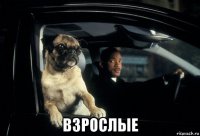  взрослые