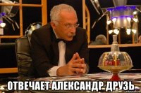  отвечает александр друзь