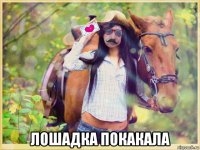  лошадка покакала