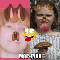  мор-гуня