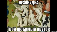 незабудка твой любимый цветок