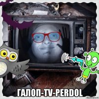  галоп-tv-perdol