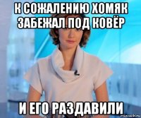 к сожалению хомяк забежал под ковёр и его раздавили