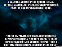 у садовых улиток очень мягкие тельца, которые защищены очень твёрдой раковиной. у улиток две пары ложек на голове улитка вырабатывет скользкое вещество серебристого цвета, для того чтобы ей было легче передвигаться. улитки едят растения, и поэтому многие нагородники их очень любят.