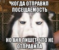 когда отправил посещаемость но аня пишет, что не отправила