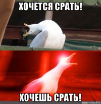 хочется срать! хочешь срать!