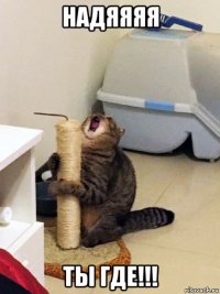 надяяяя ты где!!!