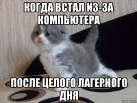 когда встал из-за компьютера после целого лагерного дня
